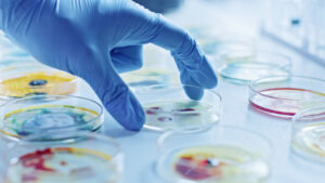 آزمایشگاه میکروبیولوژی عمومی — از صفر تا صد + بهترین منابع یادگیری