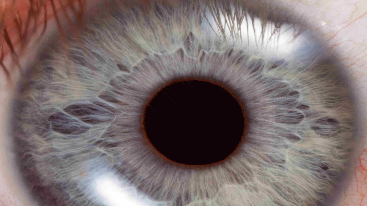 مردمک چشم چیست و چکاری انجام می دهد؟ — به زبان ساده