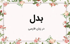 بدل در زبان فارسی چیست ؟ — انواع و کاربرد به زبان ساده