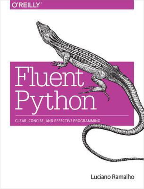 تصویر مربوط به کتاب Fluent Python برای تسلط و یادگیری حرفه ای پایتون