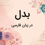 بدل در زبان فارسی چیست؟ – انواع و کاربرد به زبان ساده