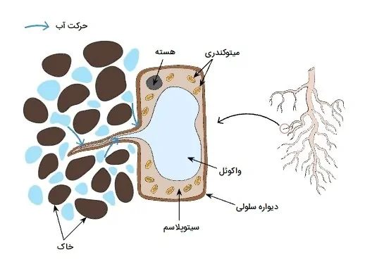 عملکرد تار کشنده