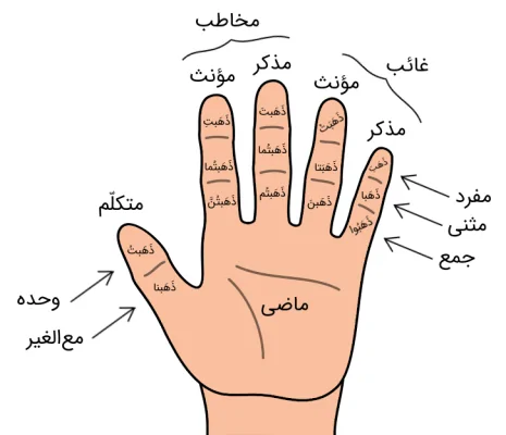 فعل ماضی در عربی