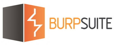 ابزار Burp Suite تست نفوذ سایت