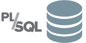 لوگو زبان برنامه نویسی PL\SQL