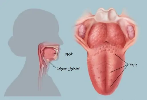 عکس زبان انسان