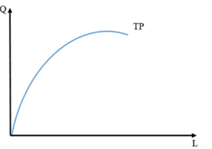 منحنی TP