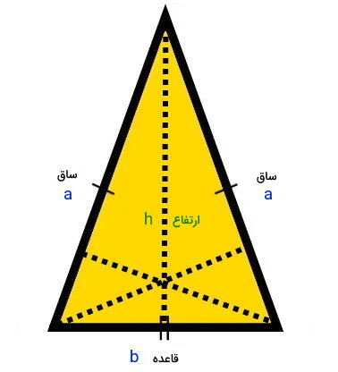 قاعده‌، ارتفاع و ساق‌های مثلث متساوی الساقین