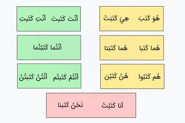 مثال فعل ماضی در عربی