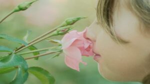 بویایی انسان — آناتومی دستگاه بویایی به زبان ساده