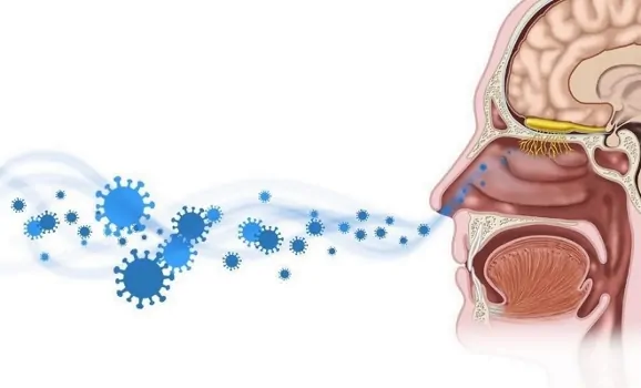 عفونت های ویروسی و از دست دادن بویایی