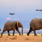 صفت عالی در انگلیسی چیست؟ – توضیح گرامر و ساختار + مثال و تمرین