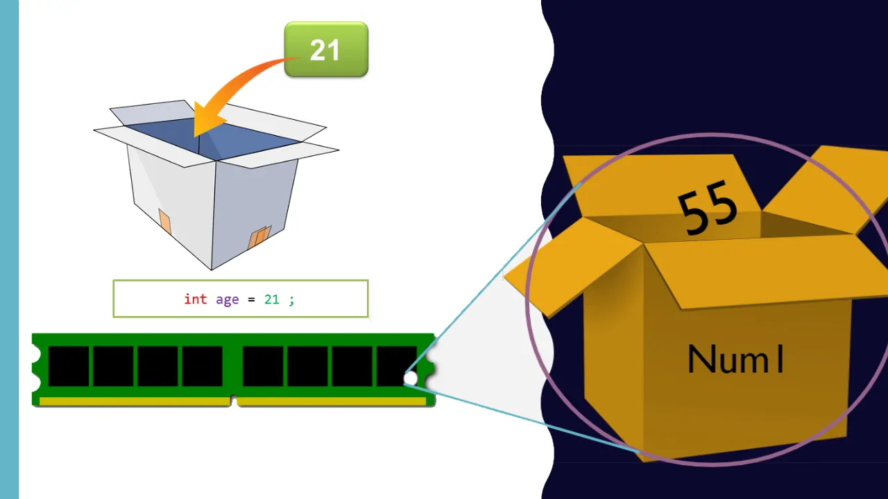 متغیر Integer چیست؟ — اصول برنامه نویسی به زبان ساده