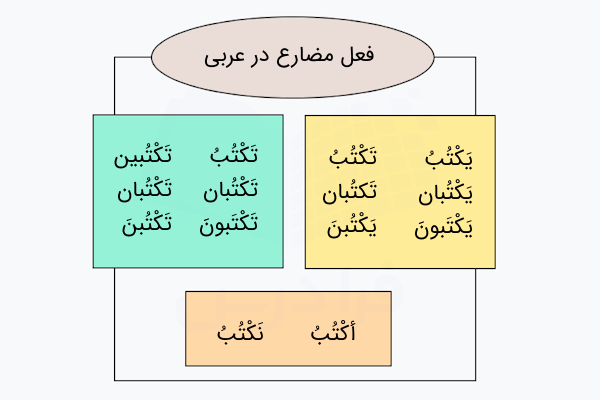 فعل مضارع در عربی