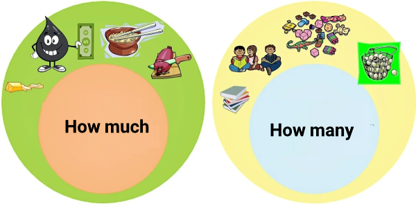 کاربرد گرامر How many