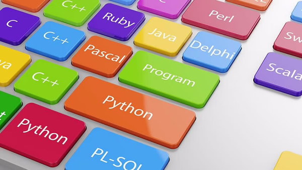 پردرآمدترین زبان برنامه نویسی چیست در مطلب انواع برنامه نویسی