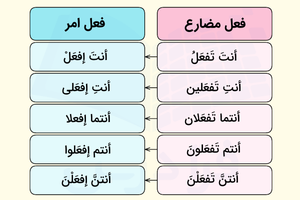 صرف فعل امر در عربی