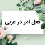 فعل امر در عربی چیست؟ – نحوه ساخت + مثال