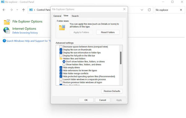 نمایش پسوند فایل ها در ویندوز 11