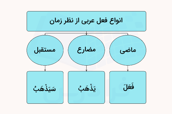 انواع فعل عربی از نظر زمان