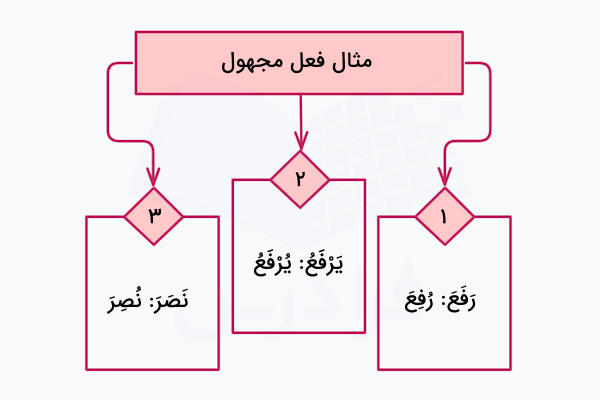 مثال فعل مجهول در عربی