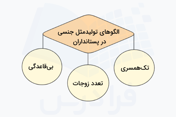 الگوهای تولید مثل جنسی در پستانداران
