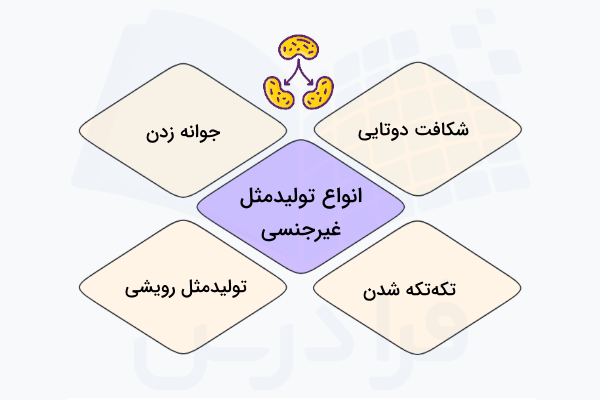 انواع تولیدمثل غیرجنسی در جانداران