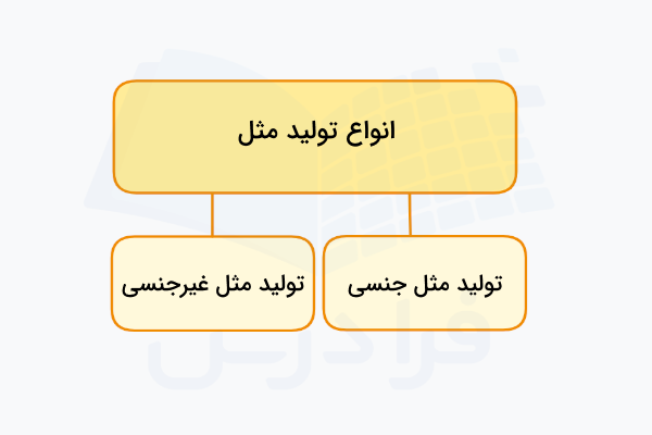 انواع تولیدمثل در جانداران
