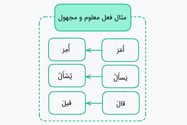 مثال فعل معلوم و مجهول در عربی