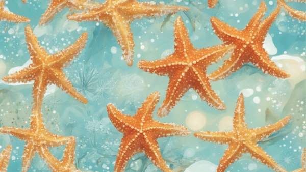 ستاره دریایی یکی از مثال های تقارن مرکزی در دنیای واقعی
