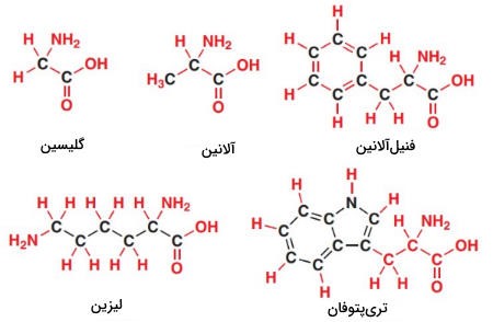 آمینواسیدها در شیمی آلی