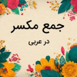 جمع مکسر در عربی – نحوه ساخت + مثال