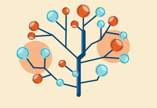 درخت تصمیم در یادگیری ماشین چیست ؟