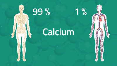 کلسیم در بدن