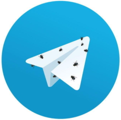 باگ تلگرام چیست