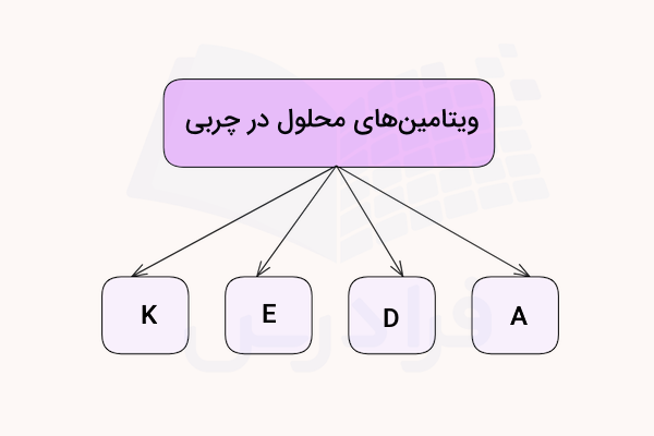 نمودار ویتامین های محلول در چربی