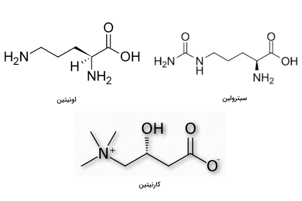آمینو اسید های غیر پروتئینی
