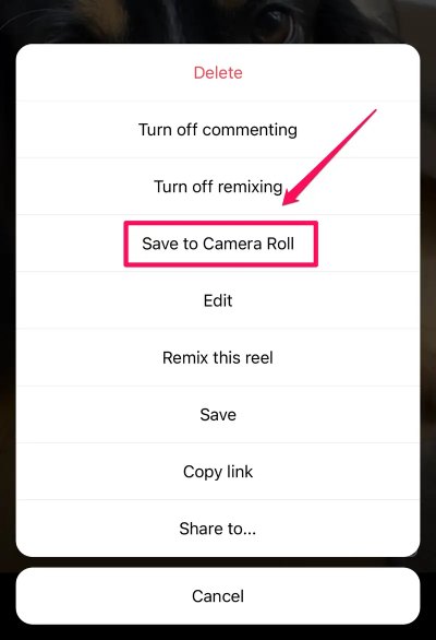 گزینه Save to Camera Roll