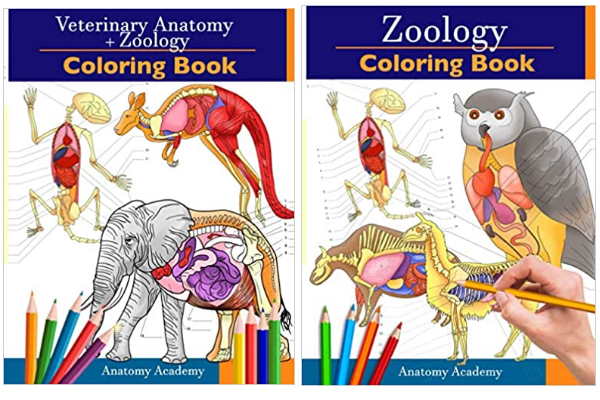 رنگ آمیزی جانوران