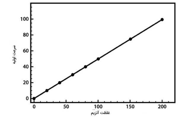 نمودار سرعت اولیه بر اساس غلظت آنزیم