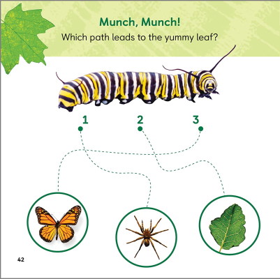 جانورشناسی برای کودکان