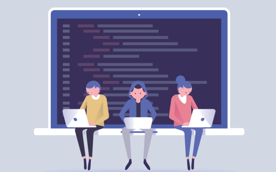 برنامه نویس و کد نویس چگونه در کنار هم کار می کنند ؟