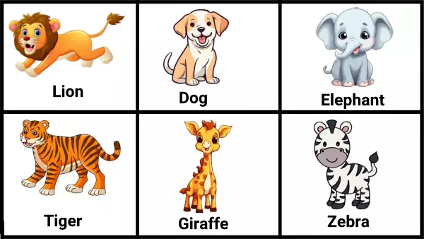 اسامی حیوانات به انگلیسی با تصویر