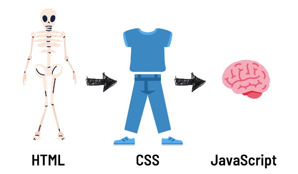 تفاوت HTML با CSS و JS