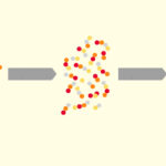 گوارش پروتئین چیست؟ – به زبان ساده