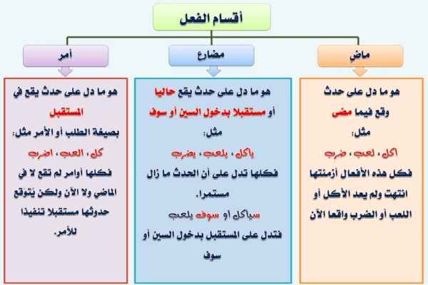 افعال در زبان عربی