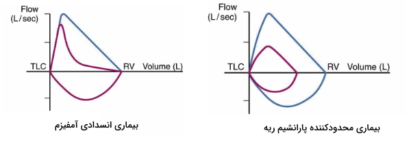 منحنی جریان حجم در آمفیزم