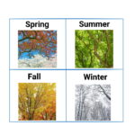 آموزش فصل های سال به انگلیسی – به زبان ساده + تمرین و تلفظ