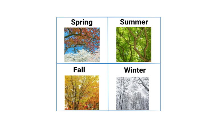آموزش فصل های سال به انگلیسی – به زبان ساده + تمرین و تلفظ