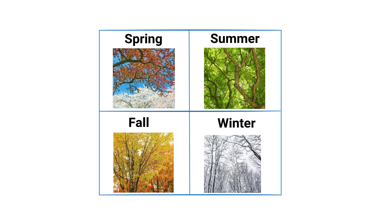 آموزش فصل های سال به انگلیسی – به زبان ساده + تمرین و تلفظ